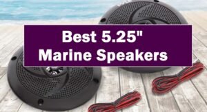 Best 5.25 Marine Speakers For Motorcycle Boat And Jeep 2020